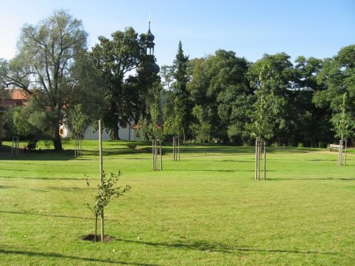 Park Park